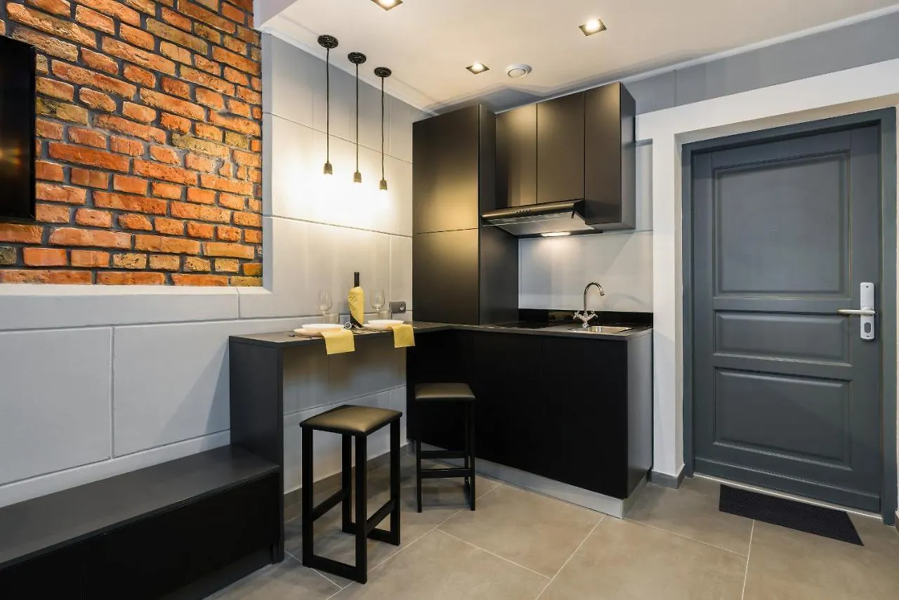 Level -1 Loft Apartments City Center Kopernika Poznan 0*,