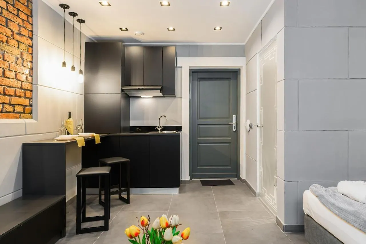 Level -1 Loft Apartments City Center Kopernika Poznan