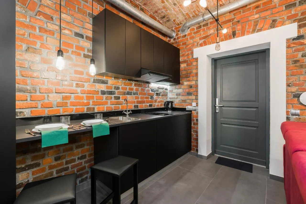 Level -1 Loft Apartments City Center Kopernika Poznan