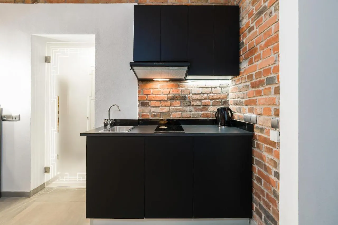 Level -1 Loft Apartments City Center Kopernika Poznan Poland