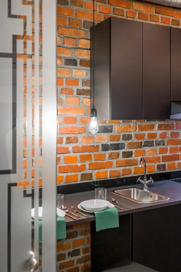 Level -1 Loft Apartments City Center Kopernika Poznan
