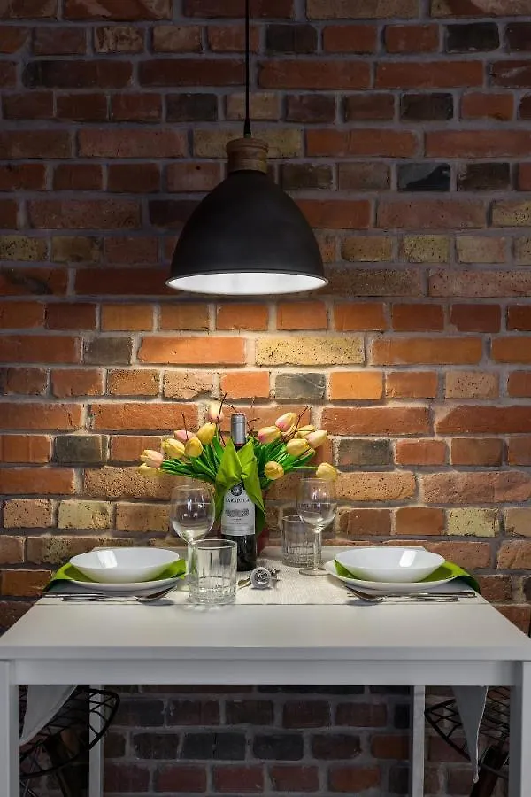 Level -1 Loft Apartments City Center Kopernika Poznan